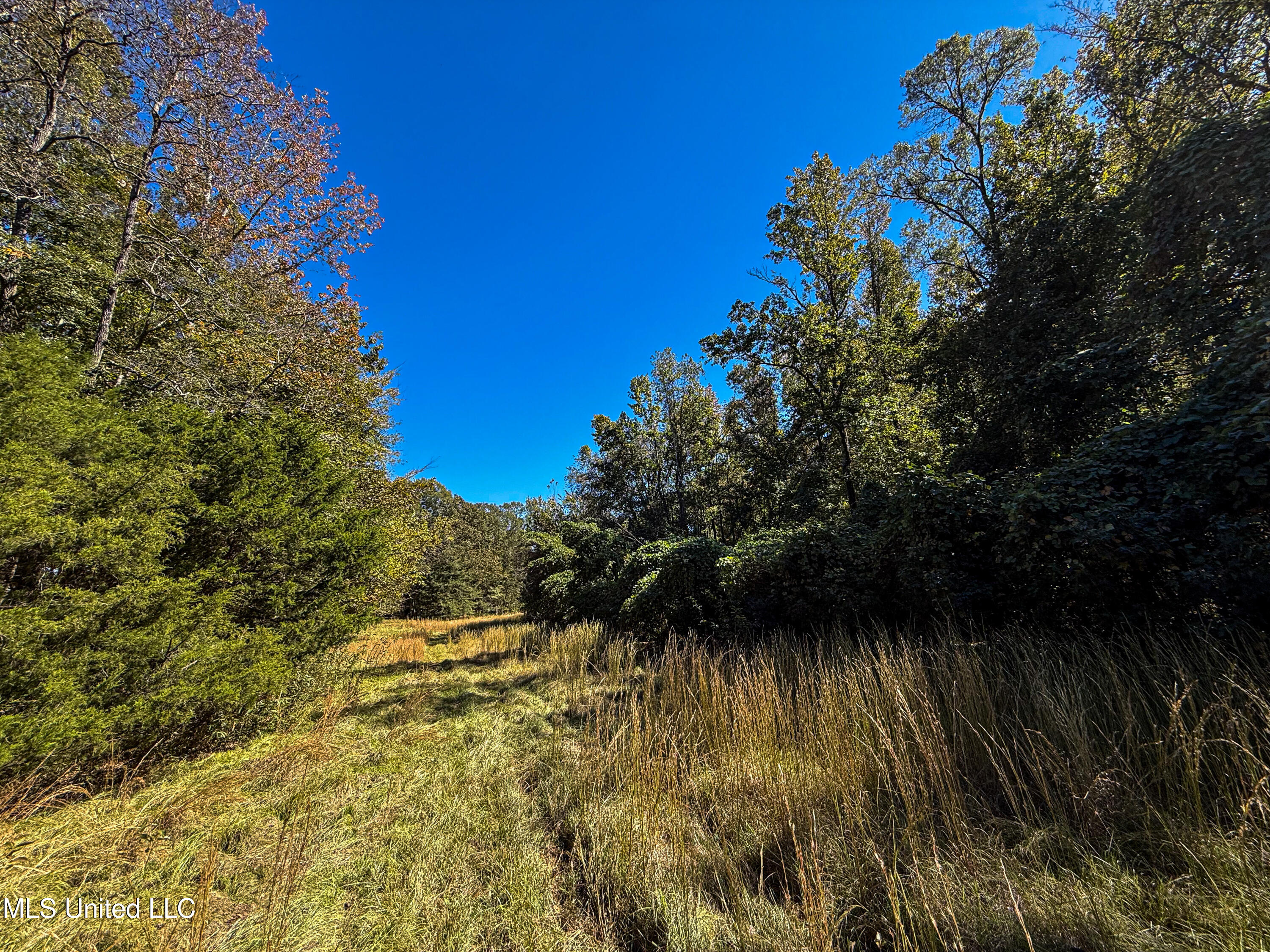 143 County Road Coila, MS 38923 - Photo 29 of 77 IMG_6842