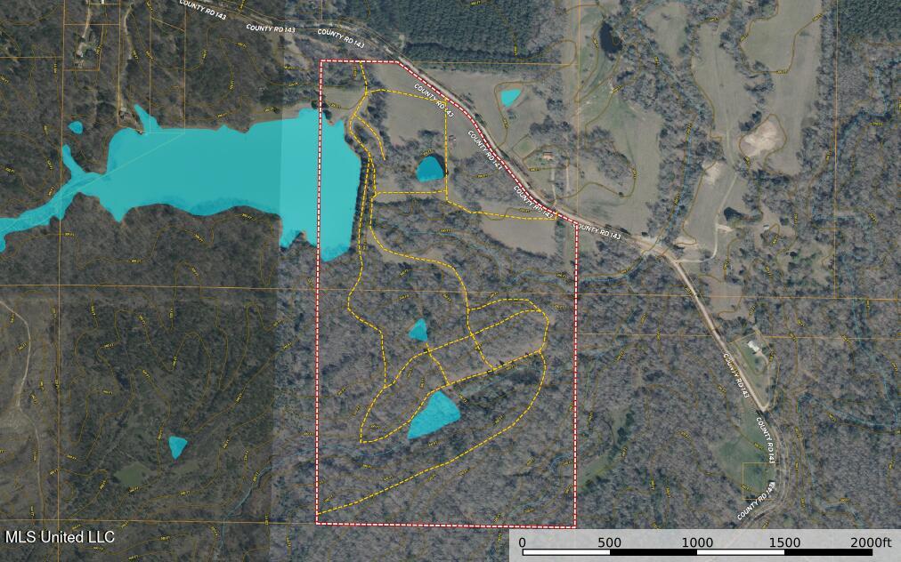 143 County Road Coila, MS 38923 - Photo 3 of 77 Screenshot 2025-10-23 192120