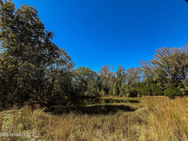 $280,000 | 143 County Road, Coila, MS 38923