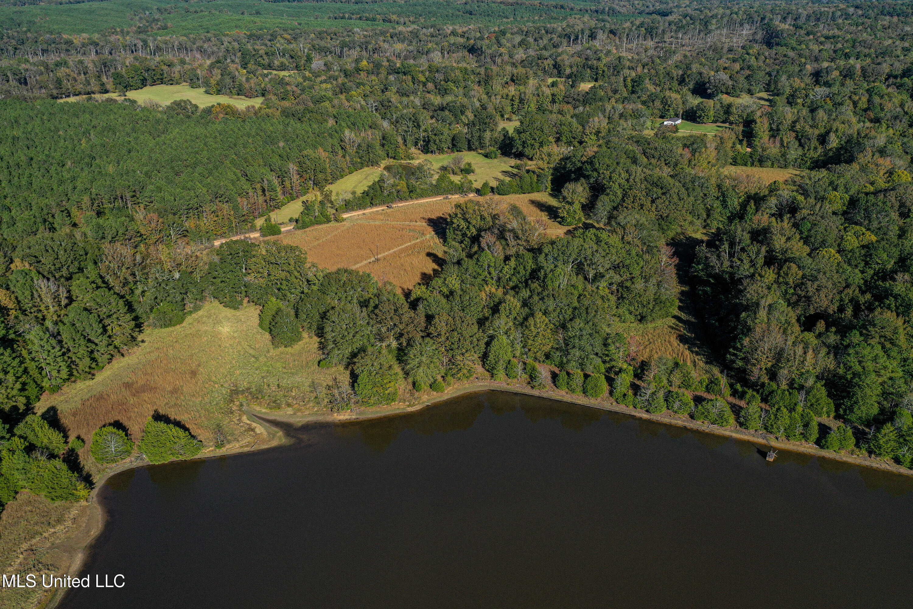 143 County Road Coila, MS 38923 - Photo 32 of 77 DJI_0467