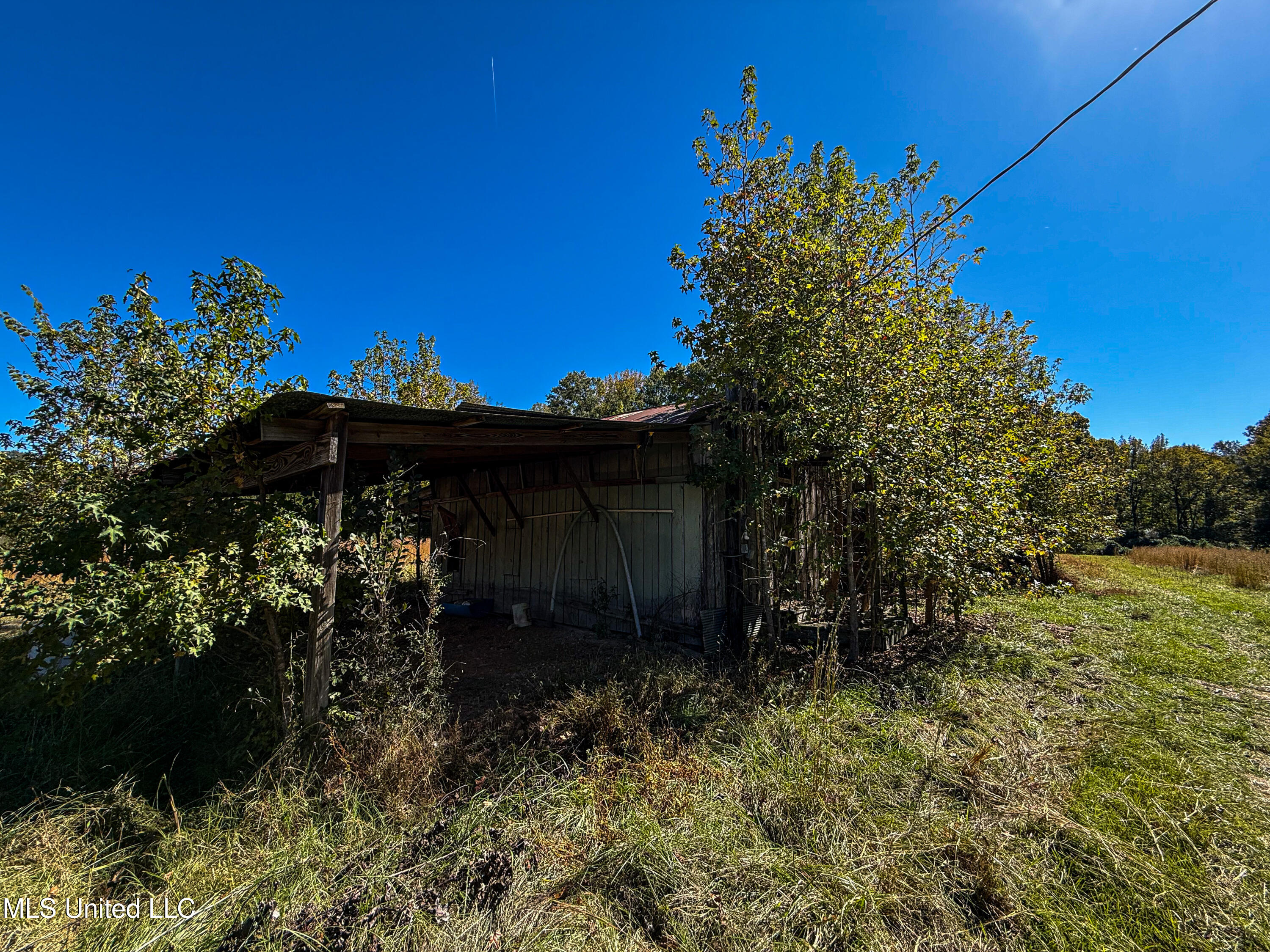 143 County Road Coila, MS 38923 - Photo 33 of 77 IMG_6845