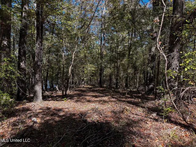 $280,000 | 143 County Road, Coila, MS 38923