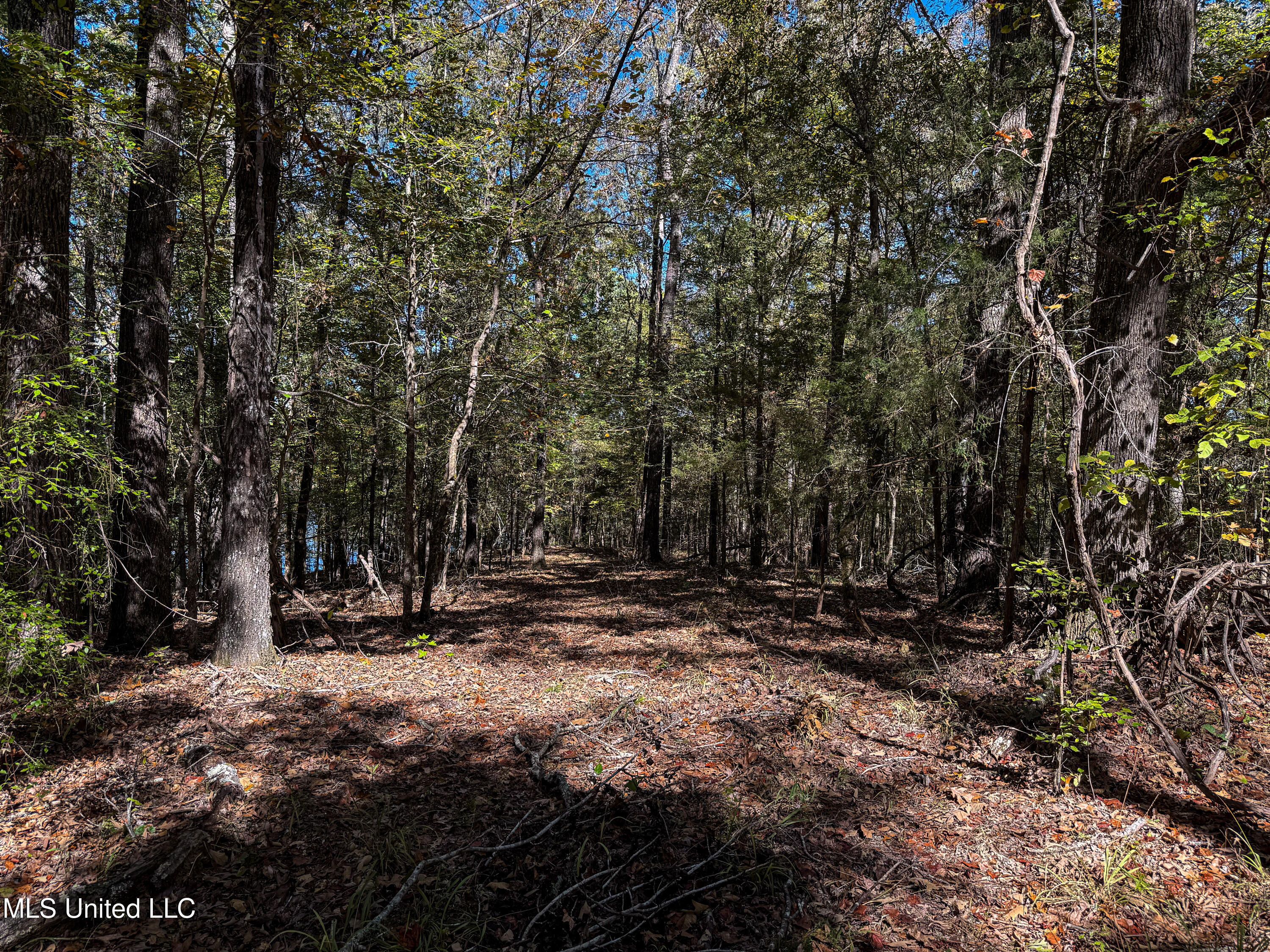 143 County Road Coila, MS 38923 - Photo 35 of 77 IMG_6838