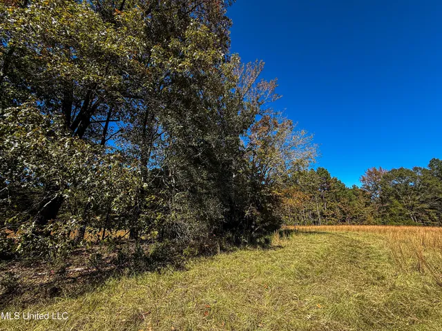 $280,000 | 143 County Road, Coila, MS 38923