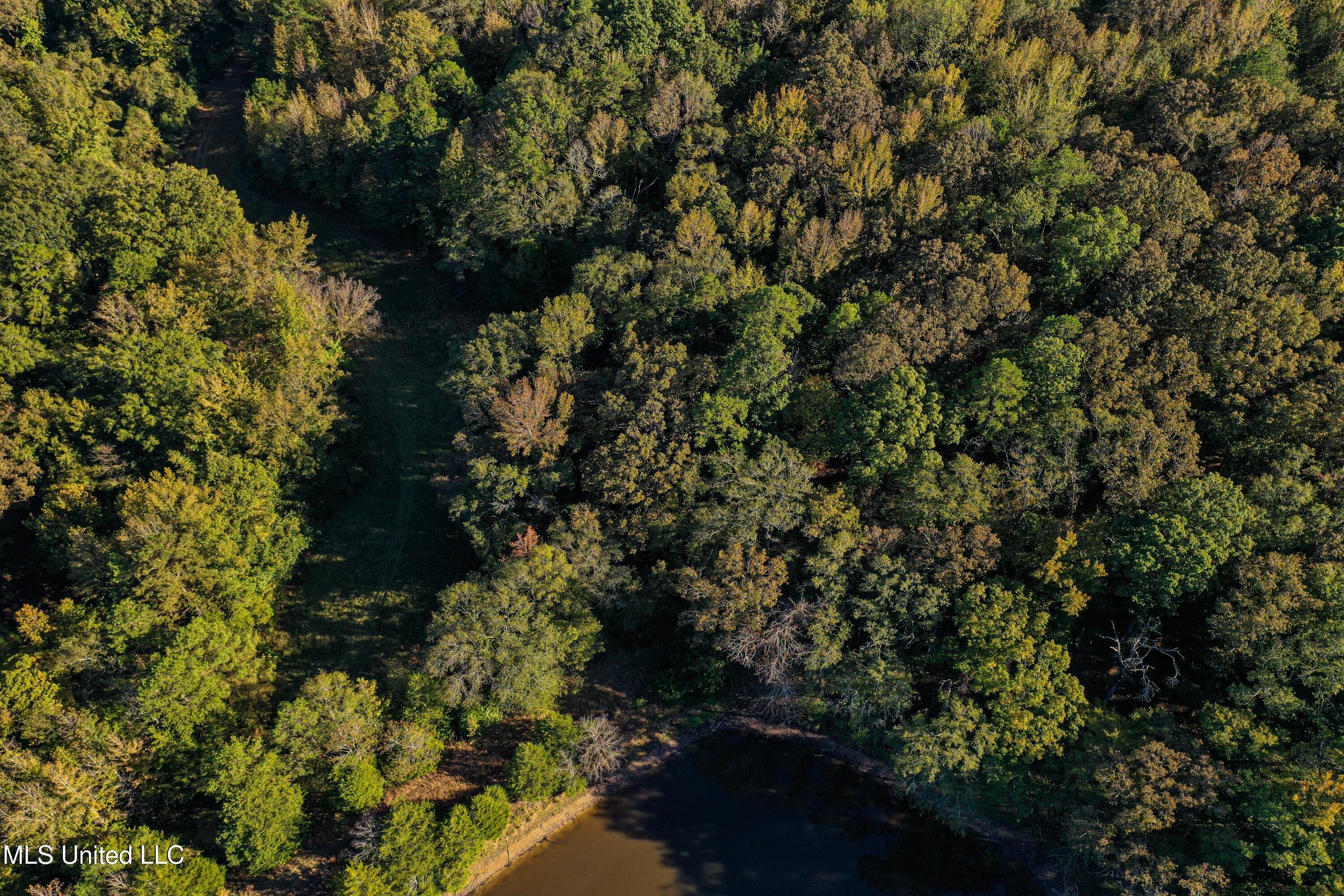 143 County Road Coila, MS 38923 - Photo 38 of 77 DJI_0469