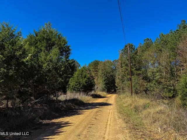 $280,000 | 143 County Road, Coila, MS 38923