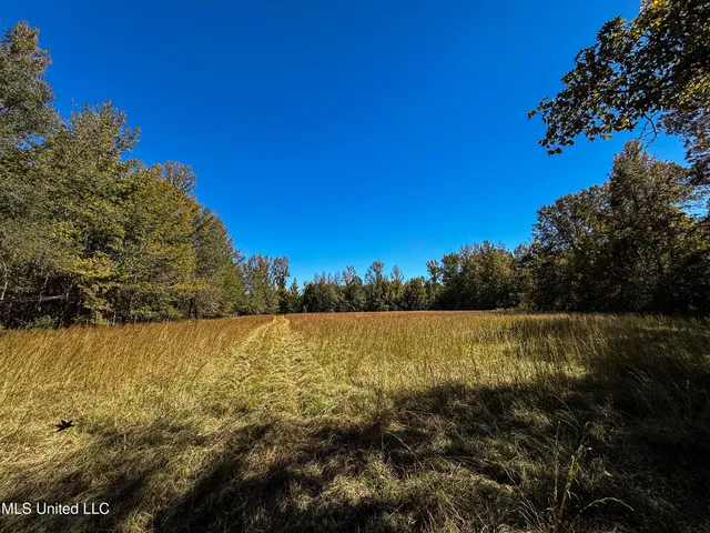 $280,000 | 143 County Road, Coila, MS 38923