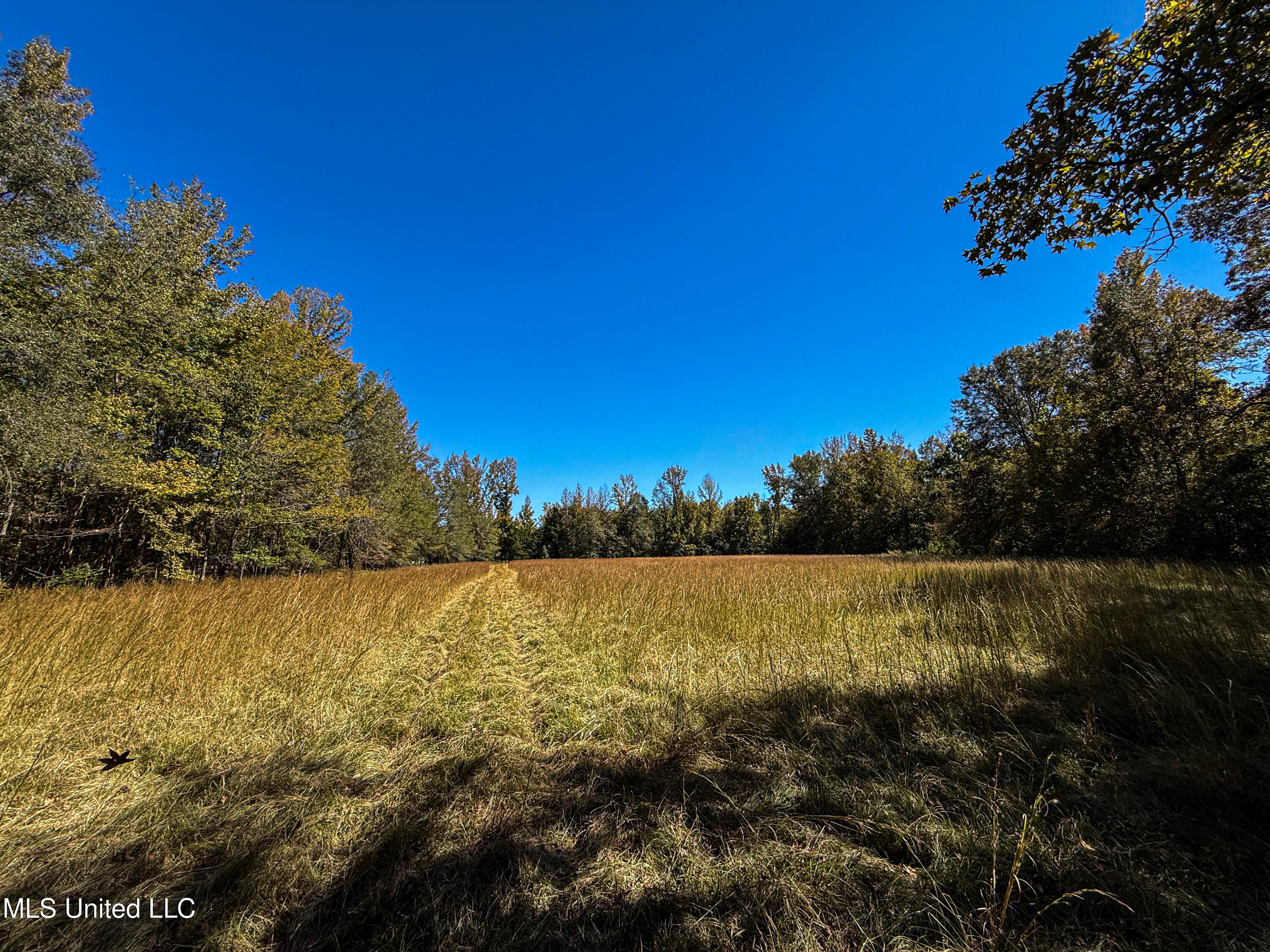 143 County Road Coila, MS 38923 - Photo 40 of 77 IMG_6851