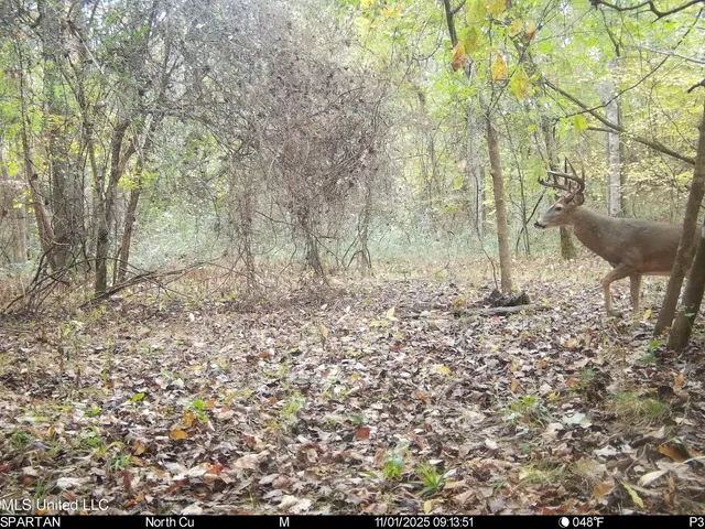 $280,000 | 143 County Road, Coila, MS 38923