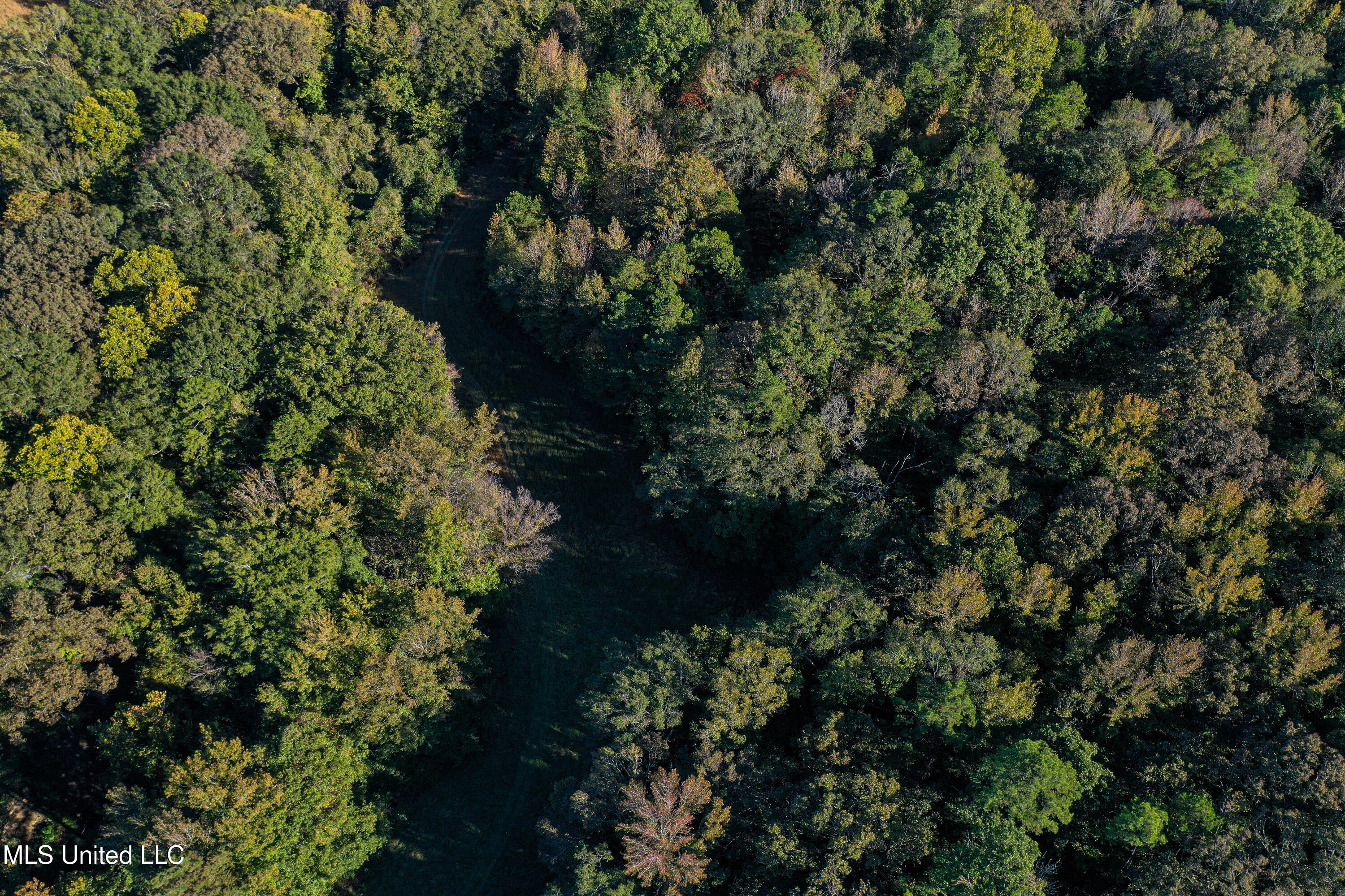 143 County Road Coila, MS 38923 - Photo 41 of 77 DJI_0470