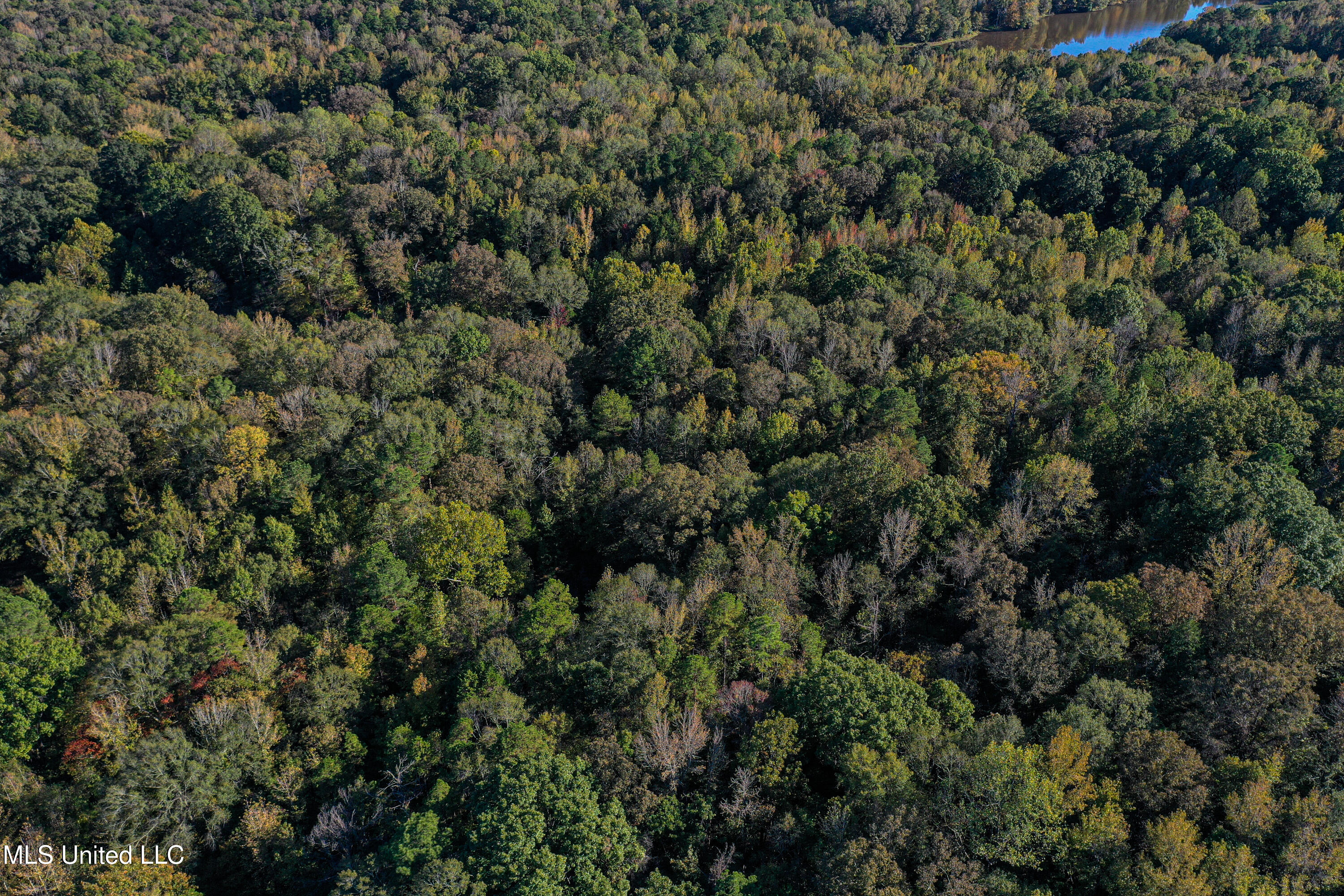 143 County Road Coila, MS 38923 - Photo 42 of 77 DJI_0471