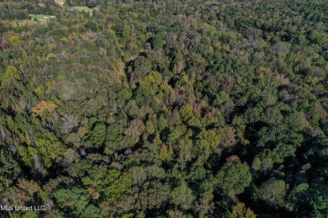 $280,000 | 143 County Road, Coila, MS 38923