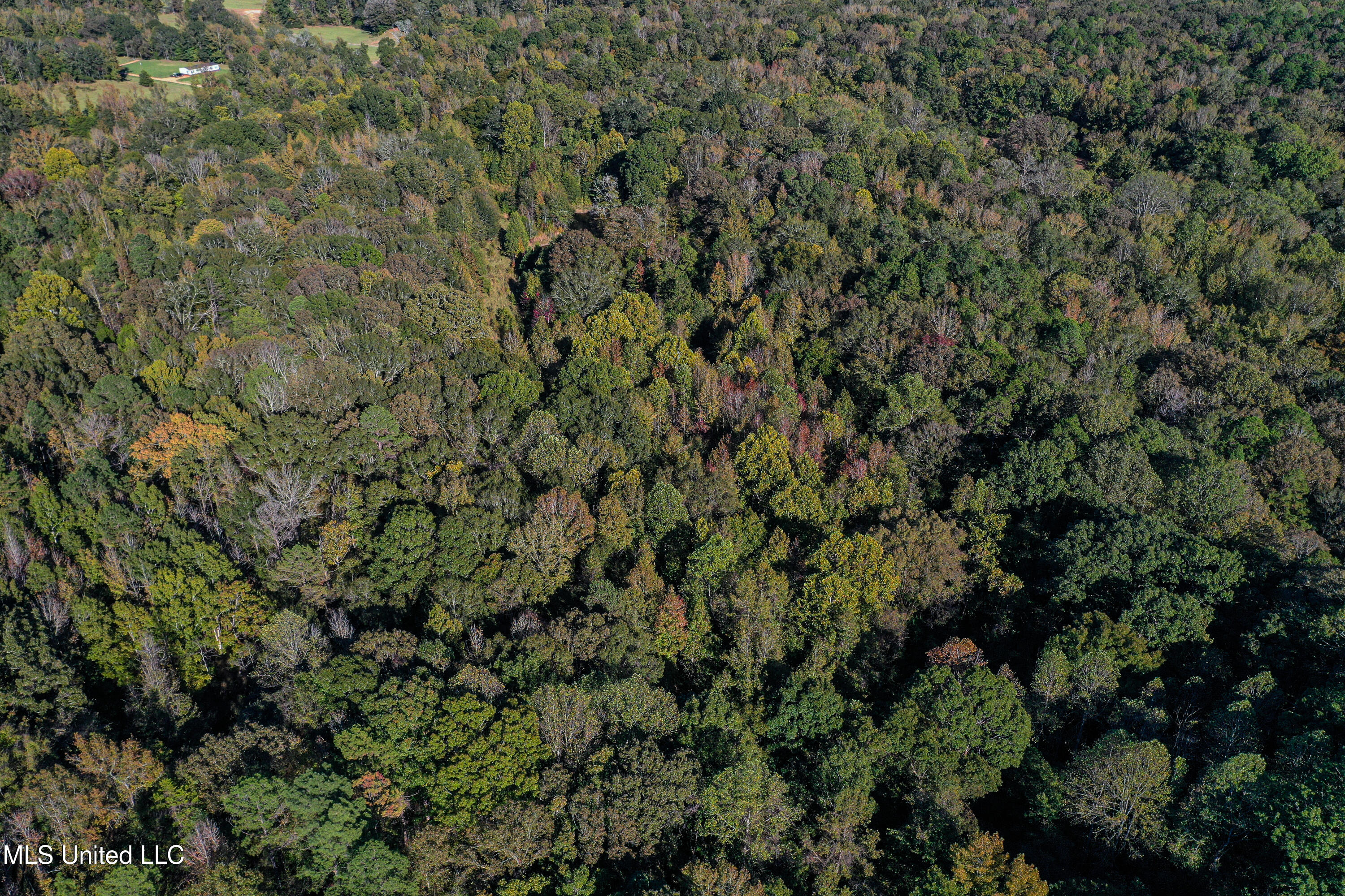 143 County Road Coila, MS 38923 - Photo 43 of 77 DJI_0472