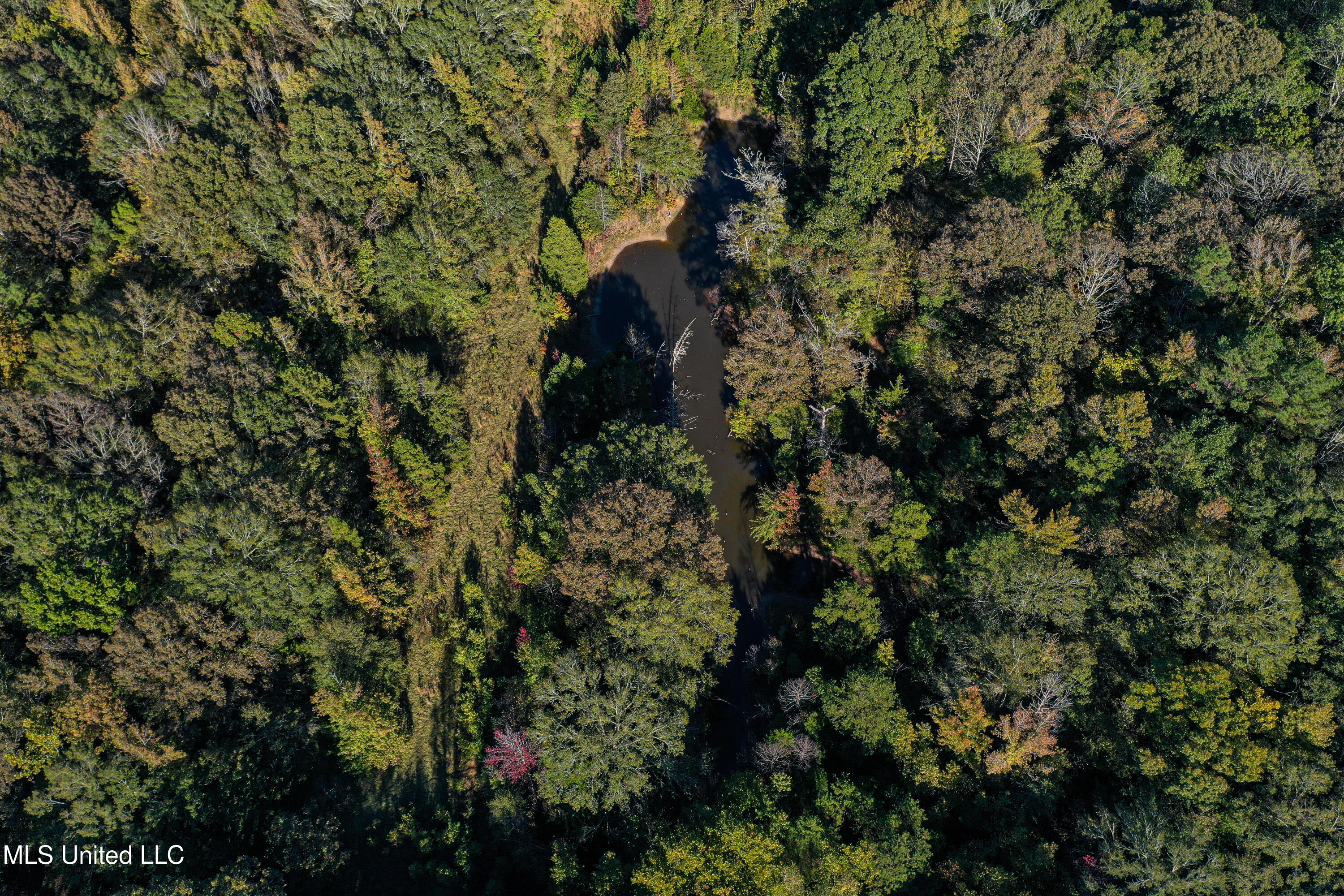 143 County Road Coila, MS 38923 - Photo 44 of 77 DJI_0473