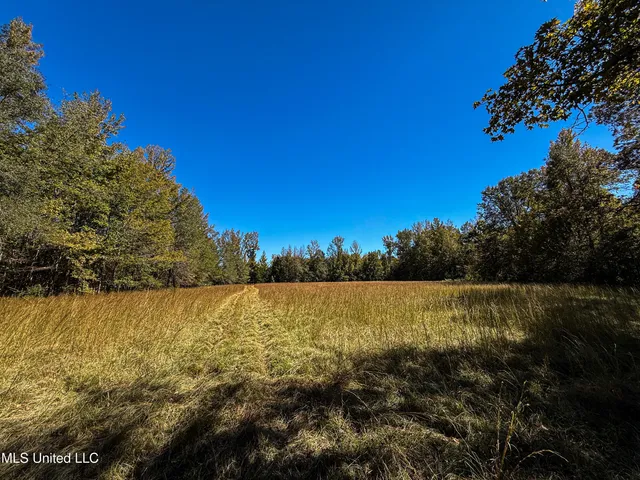 $280,000 | 143 County Road, Coila, MS 38923