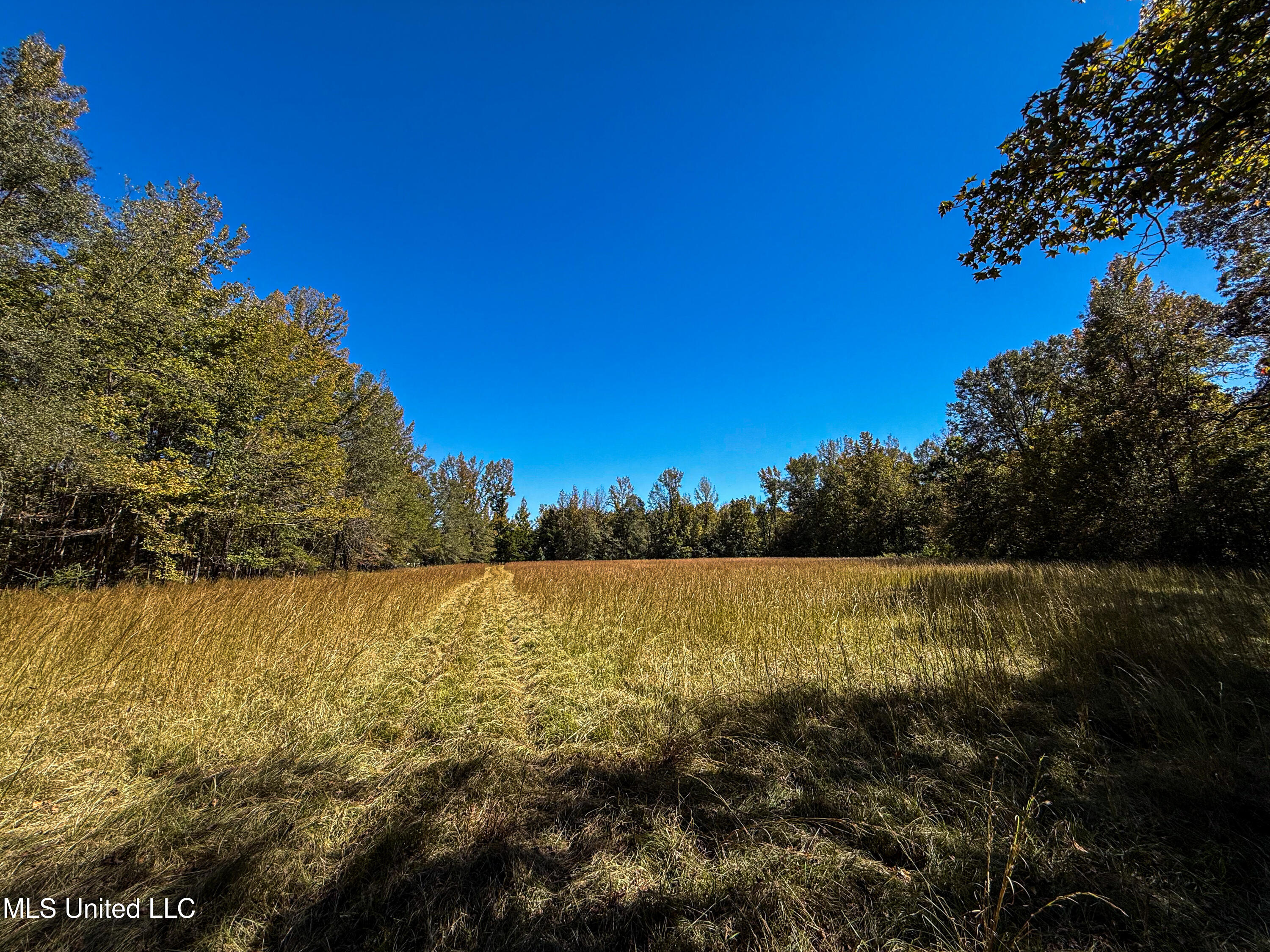 143 County Road Coila, MS 38923 - Photo 45 of 77 IMG_6852