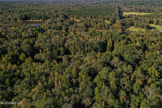 $280,000 | 143 County Road, Coila, MS 38923