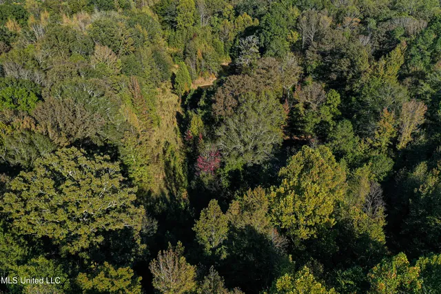 $280,000 | 143 County Road, Coila, MS 38923