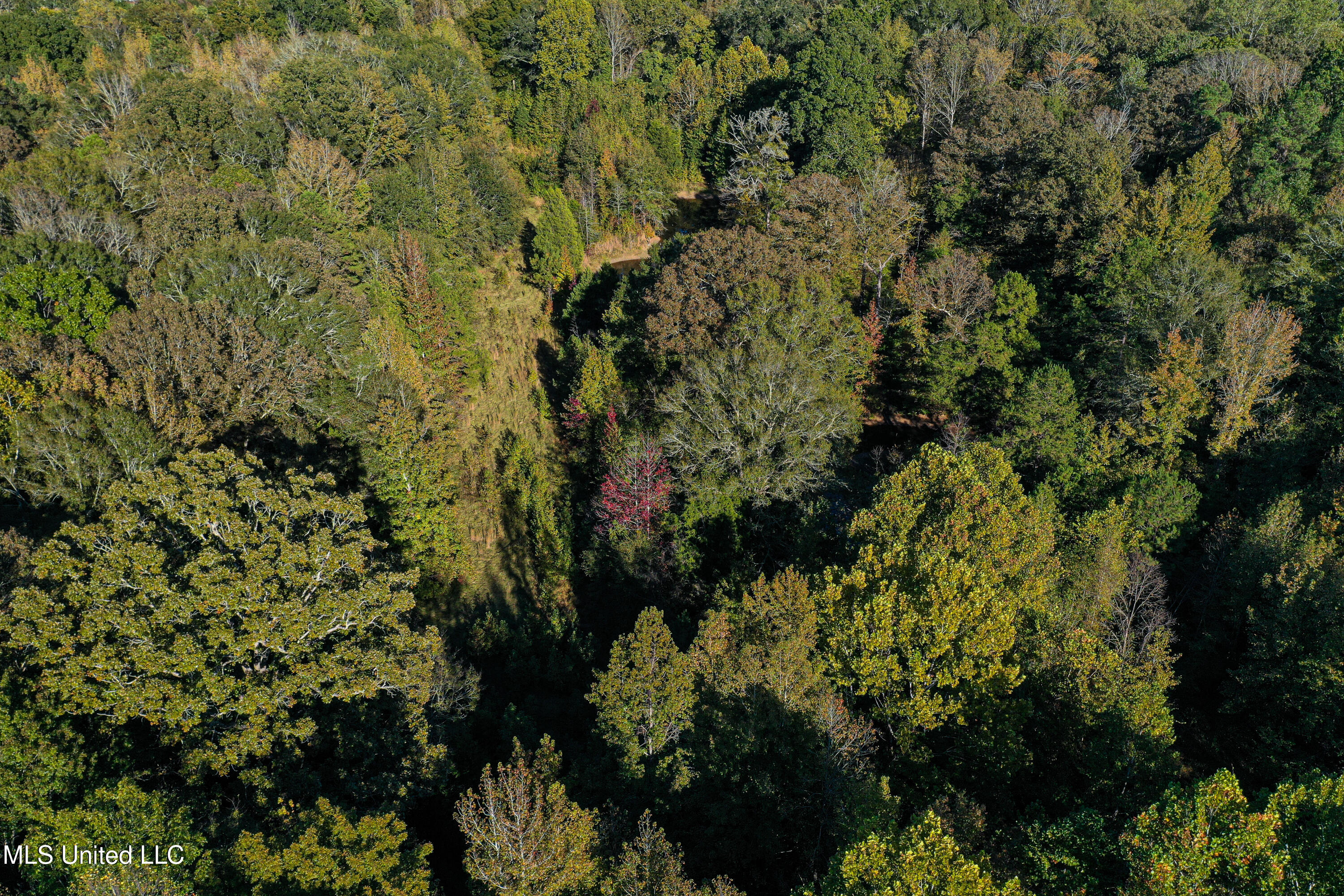 143 County Road Coila, MS 38923 - Photo 48 of 77 DJI_0477