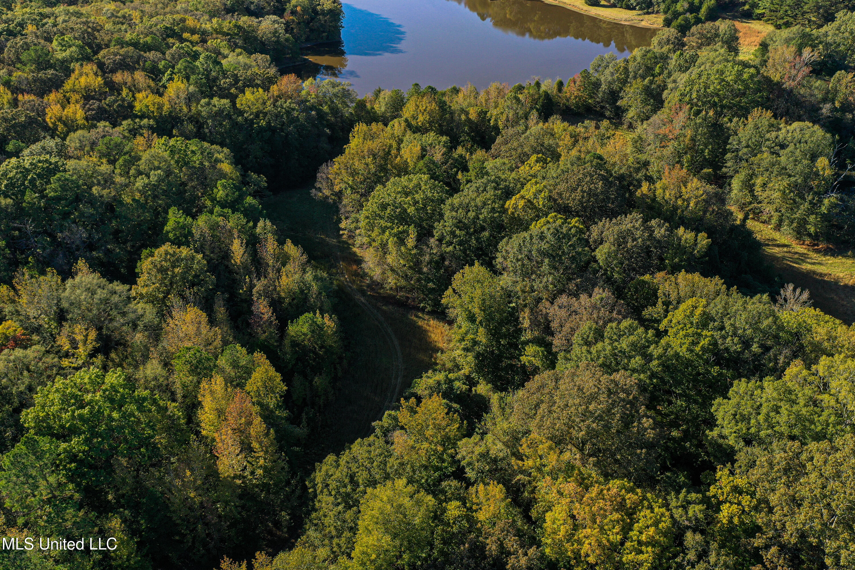 143 County Road Coila, MS 38923 - Photo 49 of 77 DJI_0478