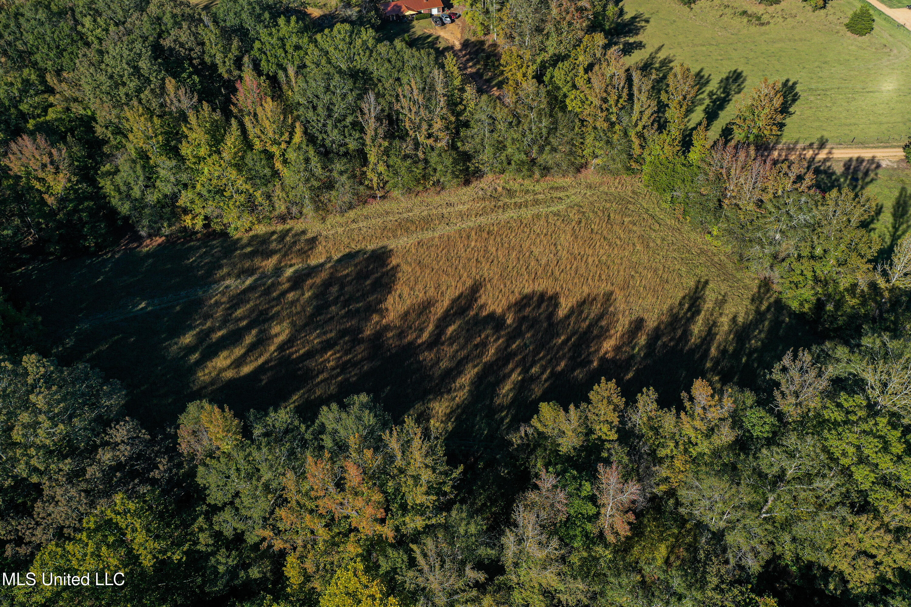 143 County Road Coila, MS 38923 - Photo 50 of 77 DJI_0479