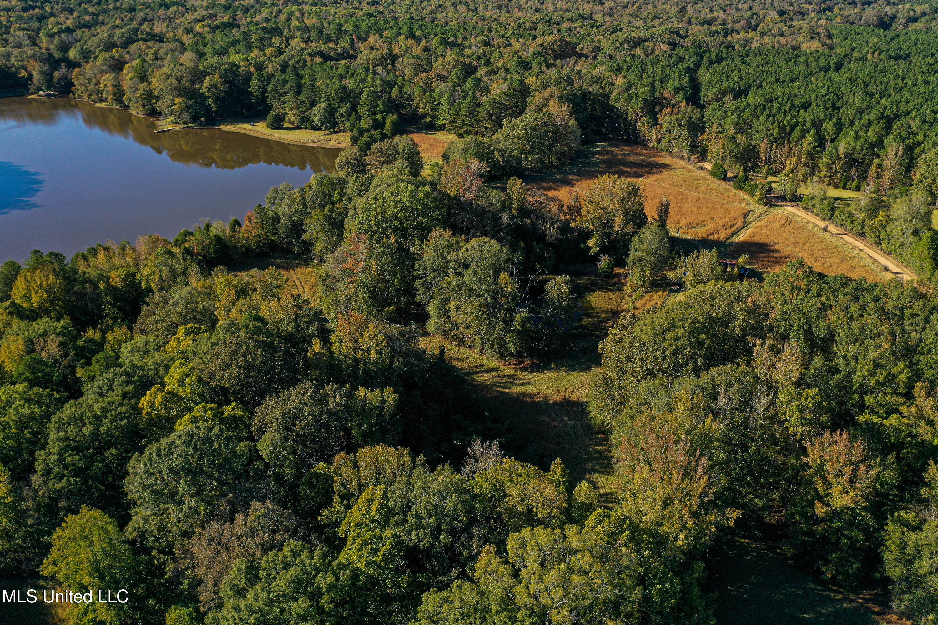 143 County Road Coila, MS 38923 - Photo 51 of 77 DJI_0480