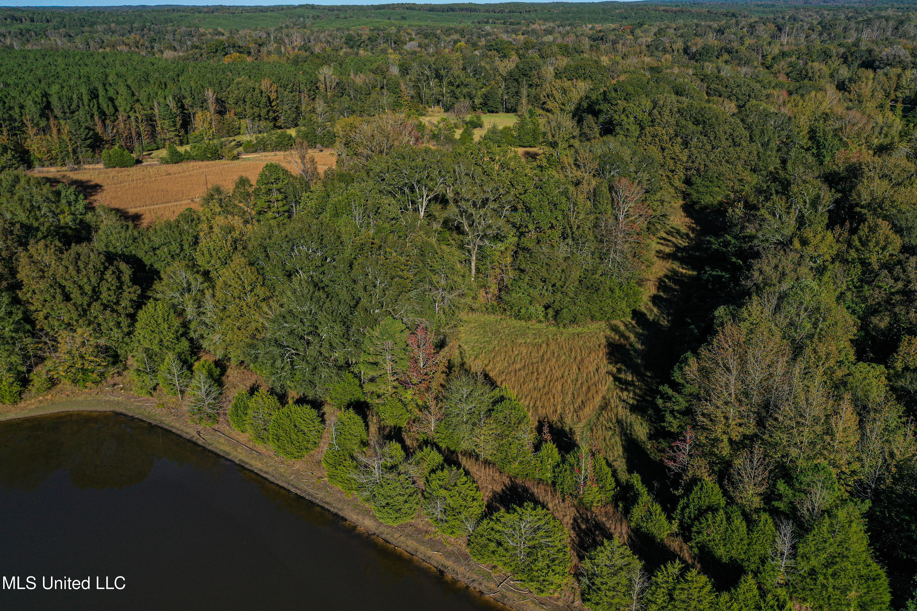 143 County Road Coila, MS 38923 - Photo 54 of 77 DJI_0485