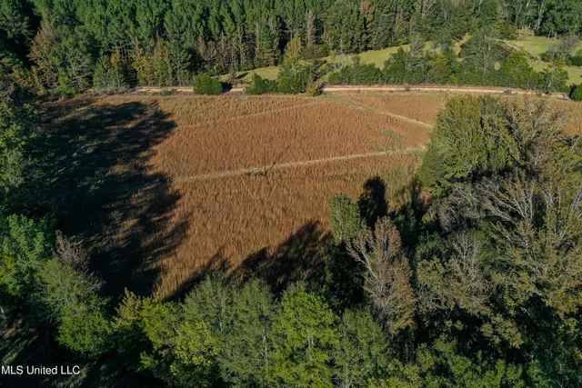 $280,000 | 143 County Road, Coila, MS 38923