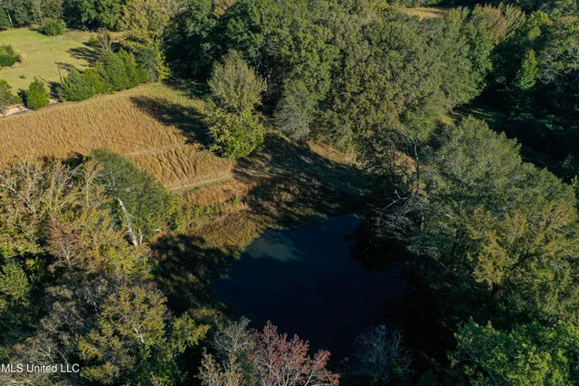 $280,000 | 143 County Road, Coila, MS 38923