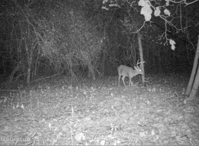 $280,000 | 143 County Road, Coila, MS 38923