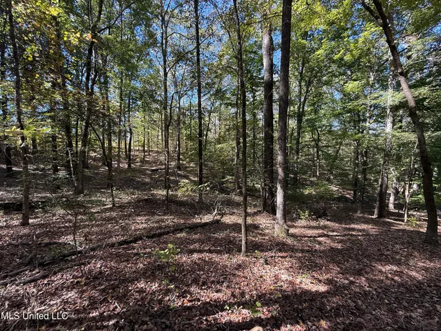 $280,000 | 143 County Road, Coila, MS 38923