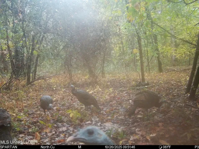 $280,000 | 143 County Road, Coila, MS 38923