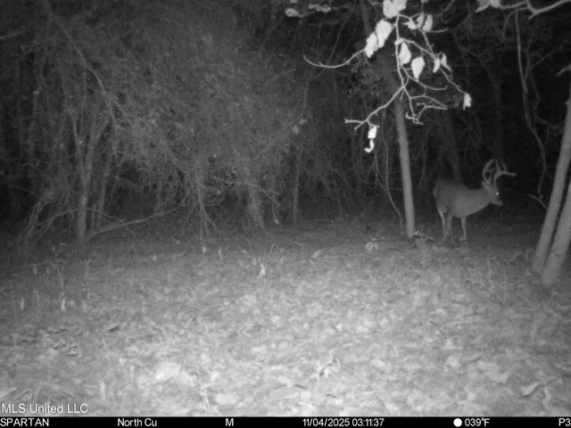 $280,000 | 143 County Road, Coila, MS 38923