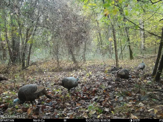 $280,000 | 143 County Road, Coila, MS 38923