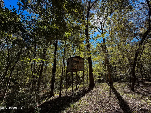 $280,000 | 143 County Road, Coila, MS 38923