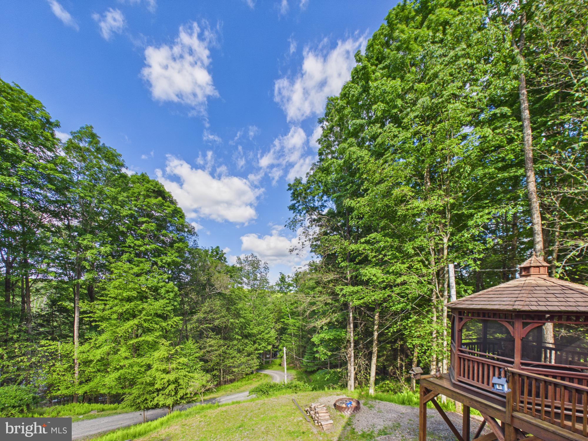 477 Finn Swamp Road Lakeville, PA 18438 - Photo 9 of 53 Looking down the driveway