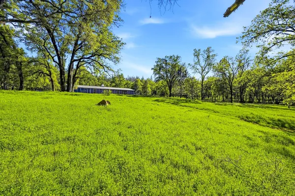 $3,995,000 | 0 1 Placer Hills Road, Applegate, CA 95703