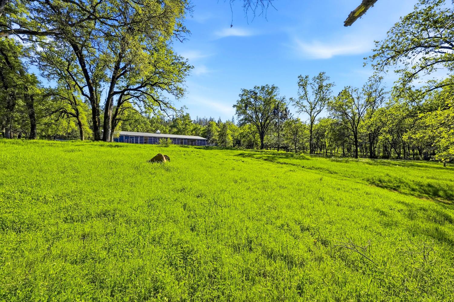 0 1 Placer Hills Road Applegate, CA 95703 - Photo 17 of 46