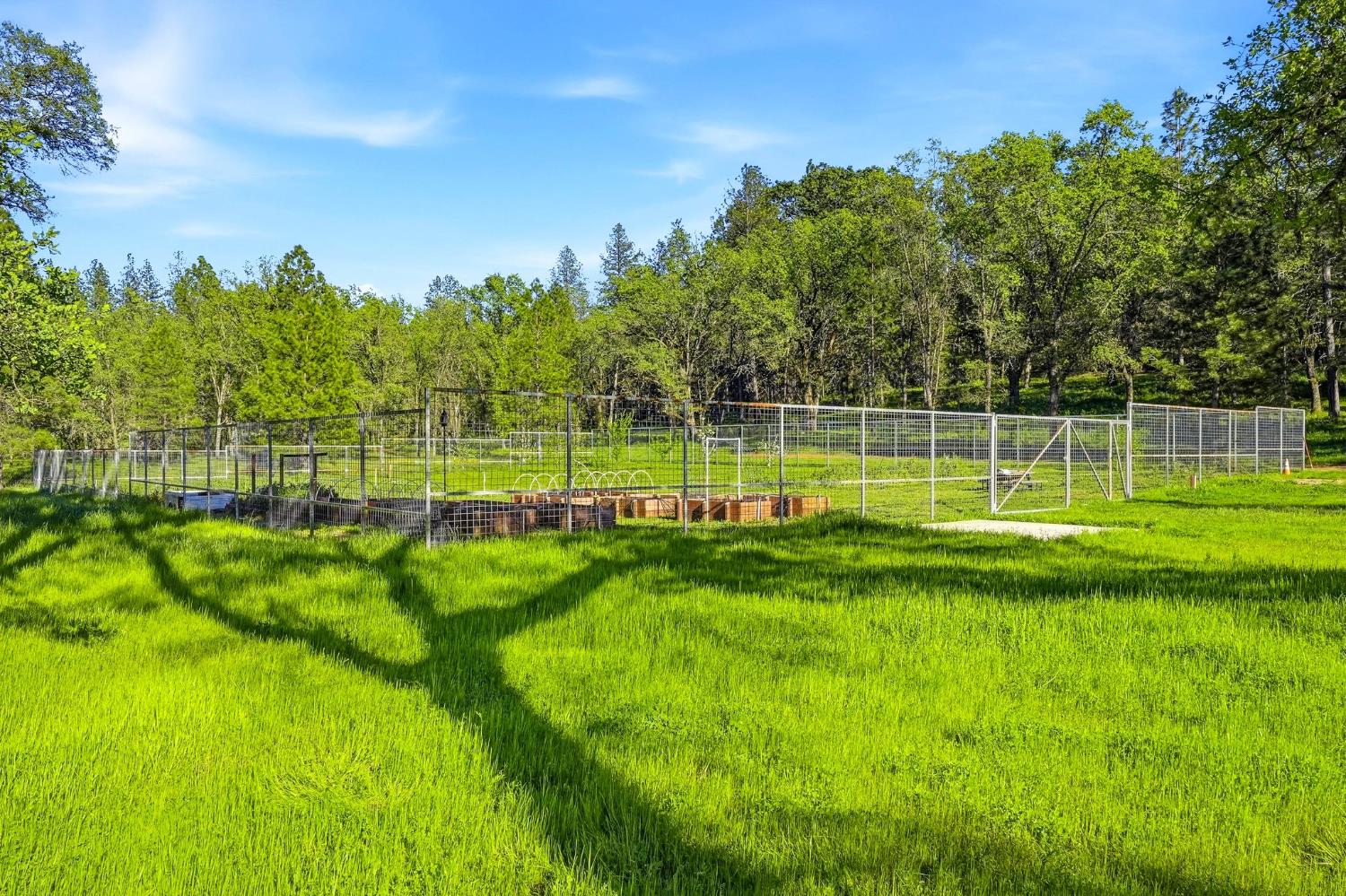 0 1 Placer Hills Road Applegate, CA 95703 - Photo 20 of 46