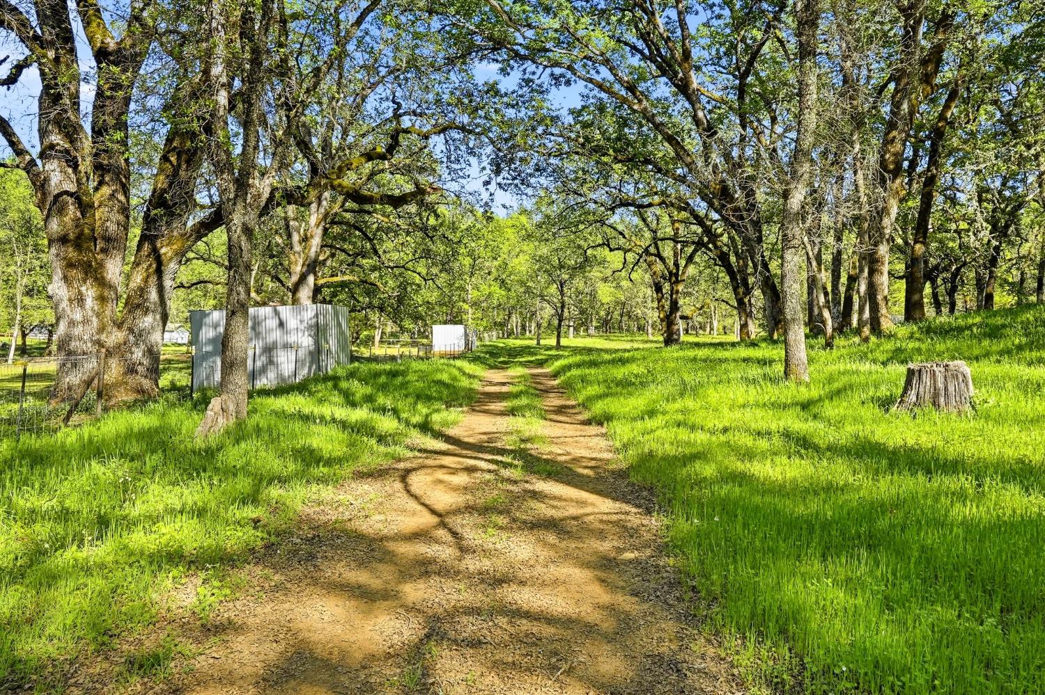 0 1 Placer Hills Road Applegate, CA 95703 - Photo 22 of 46