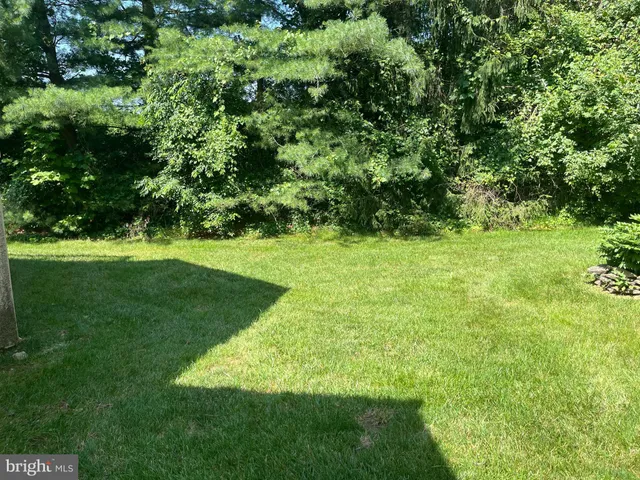 a view of a green yard