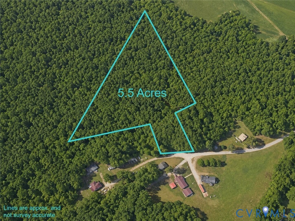0 Dillard Road Lawrenceville, VA 23868 - Photo 1 of 6