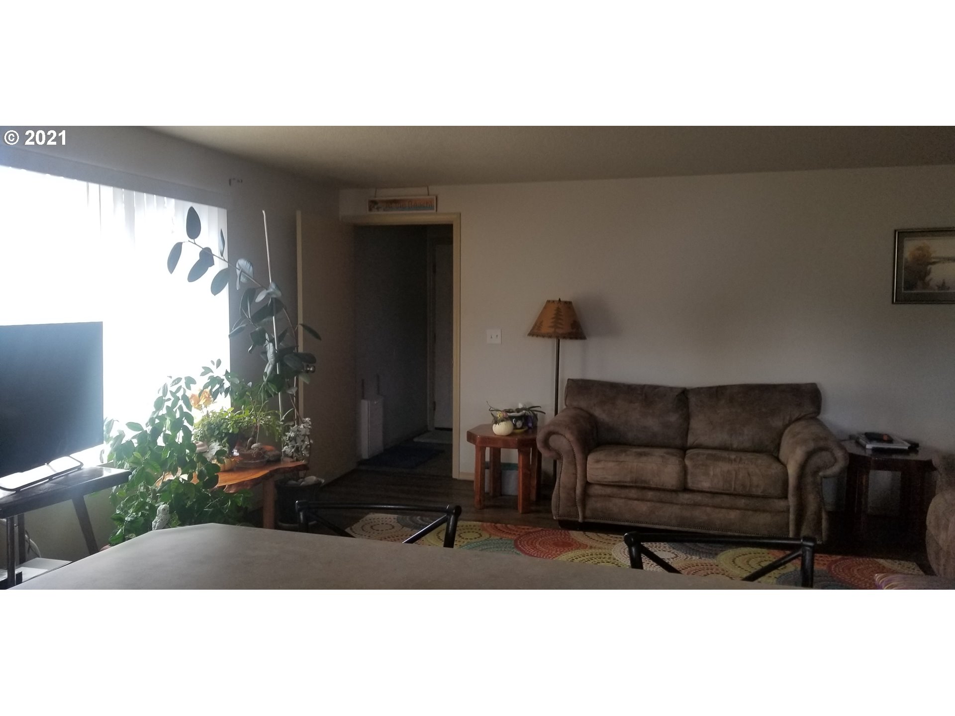 335 Southeast 3rd Street Irrigon, OR 97844 - Photo 4 of 29 a living room with furniture and a potted plant