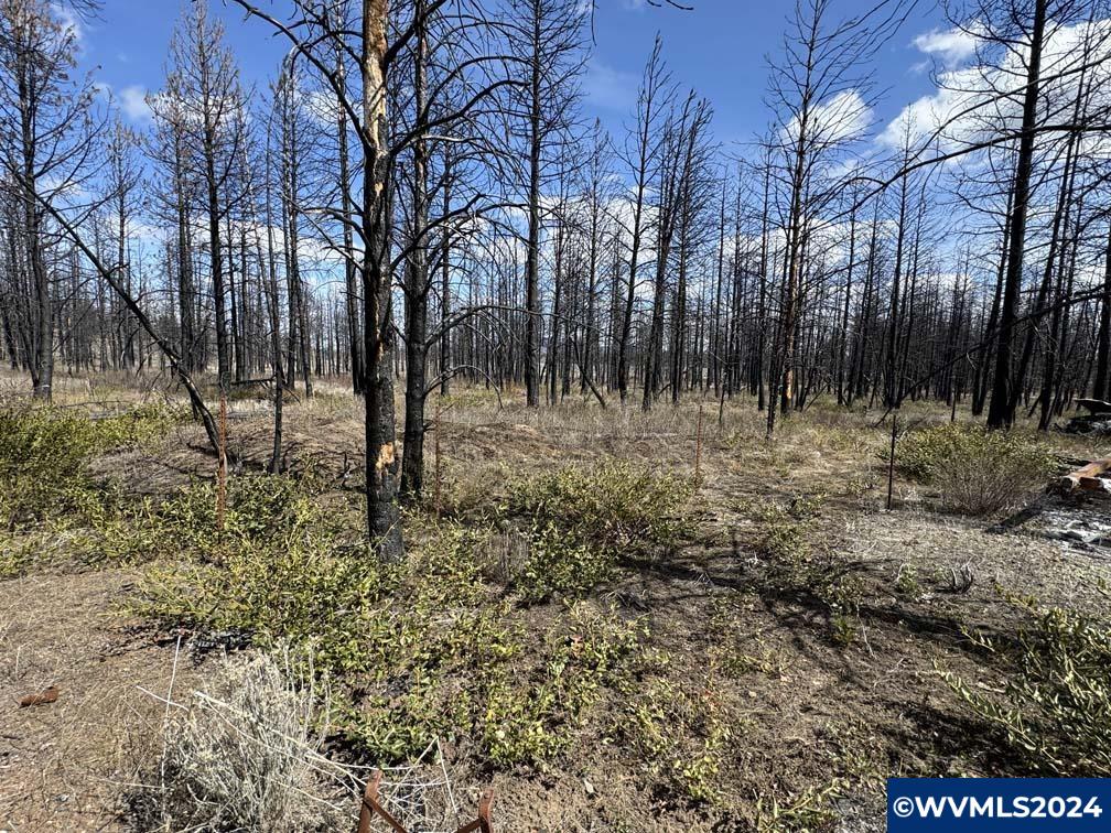 800 Nf 4464 Road Chiloquin, OR 97624 - Photo 6 of 25