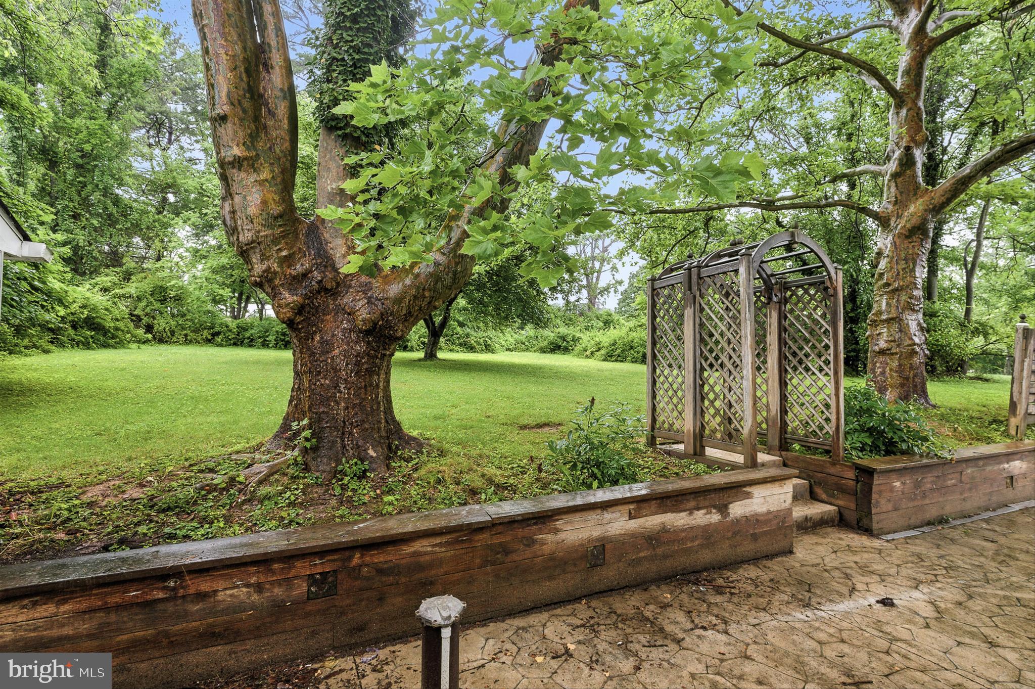 3126 Rices Lane Baltimore, MD 21244 - Photo 34 of 34 view of yard