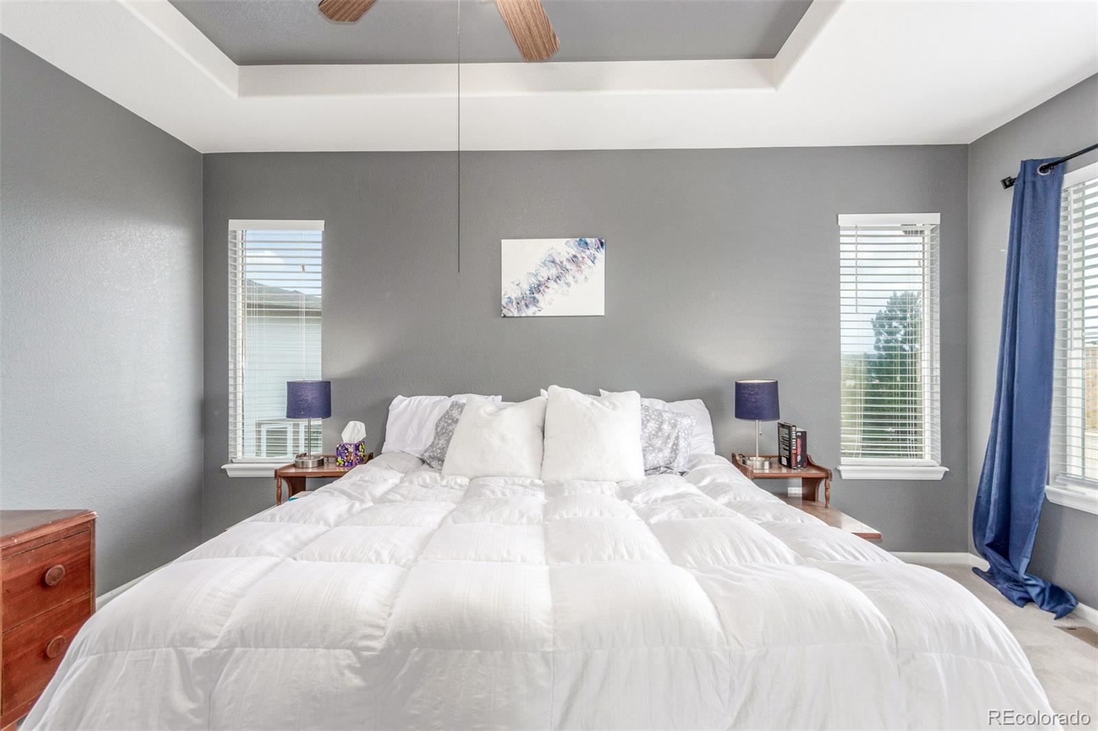 10660 Jewelberry Circle Highlands Ranch, CO 80130 - Photo 15 of 41