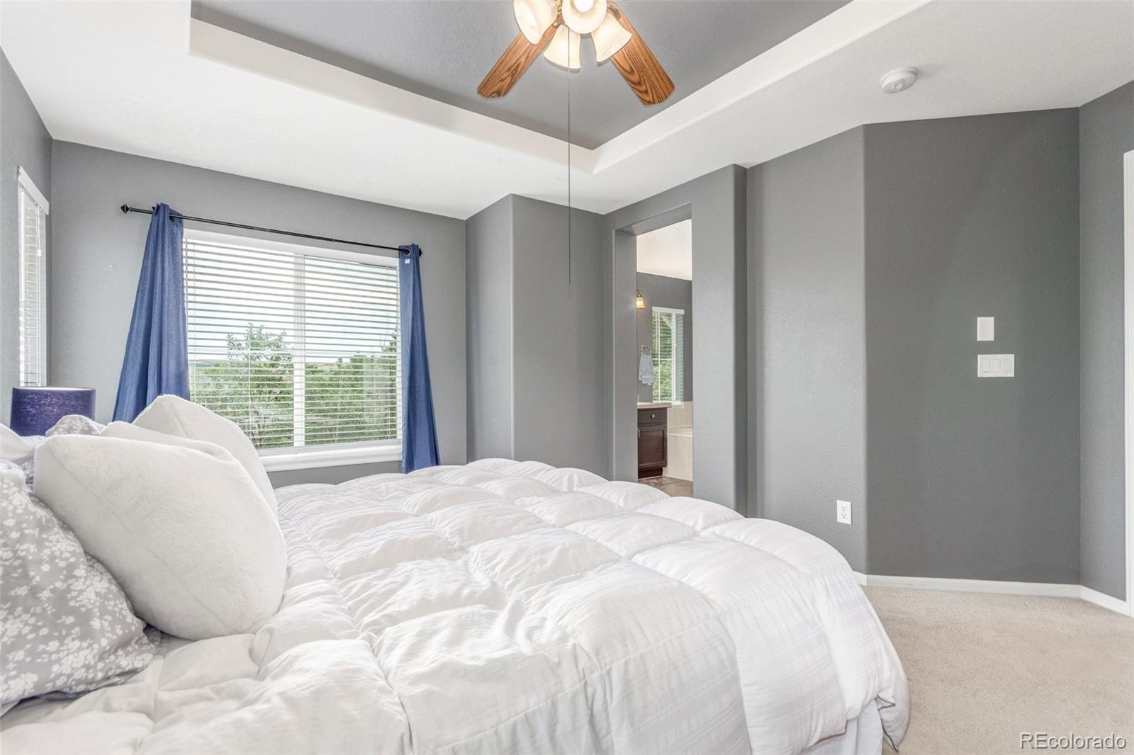 10660 Jewelberry Circle Highlands Ranch, CO 80130 - Photo 16 of 41