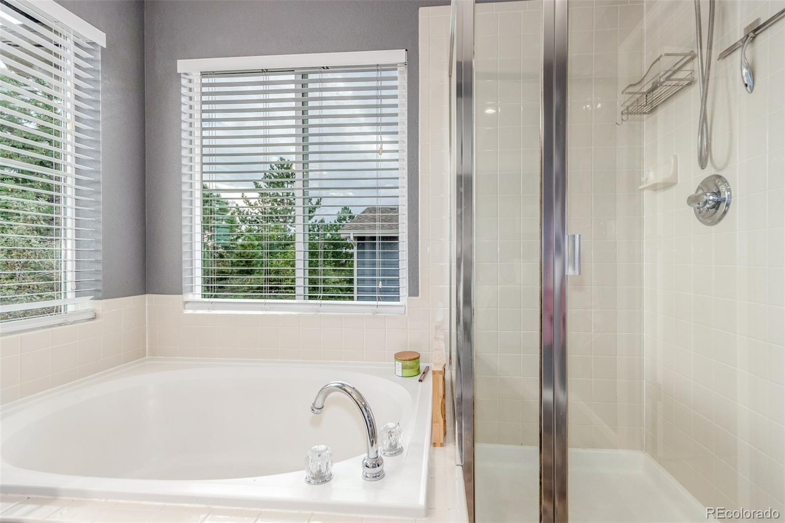 10660 Jewelberry Circle Highlands Ranch, CO 80130 - Photo 18 of 41