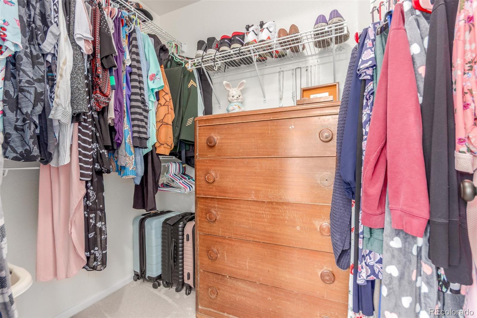 10660 Jewelberry Circle Highlands Ranch, CO 80130 - Photo 20 of 41