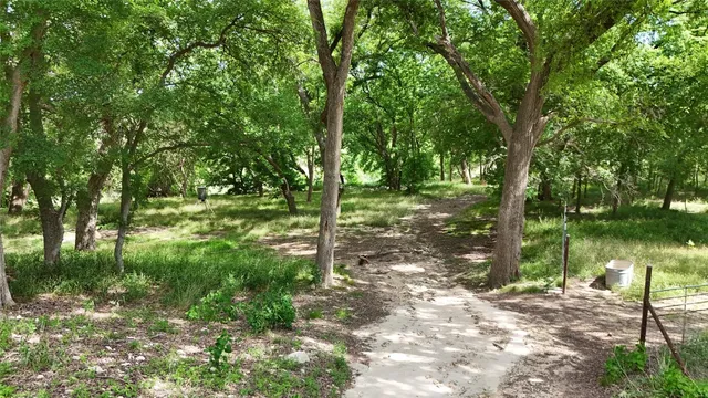 a view of a garden with a lake